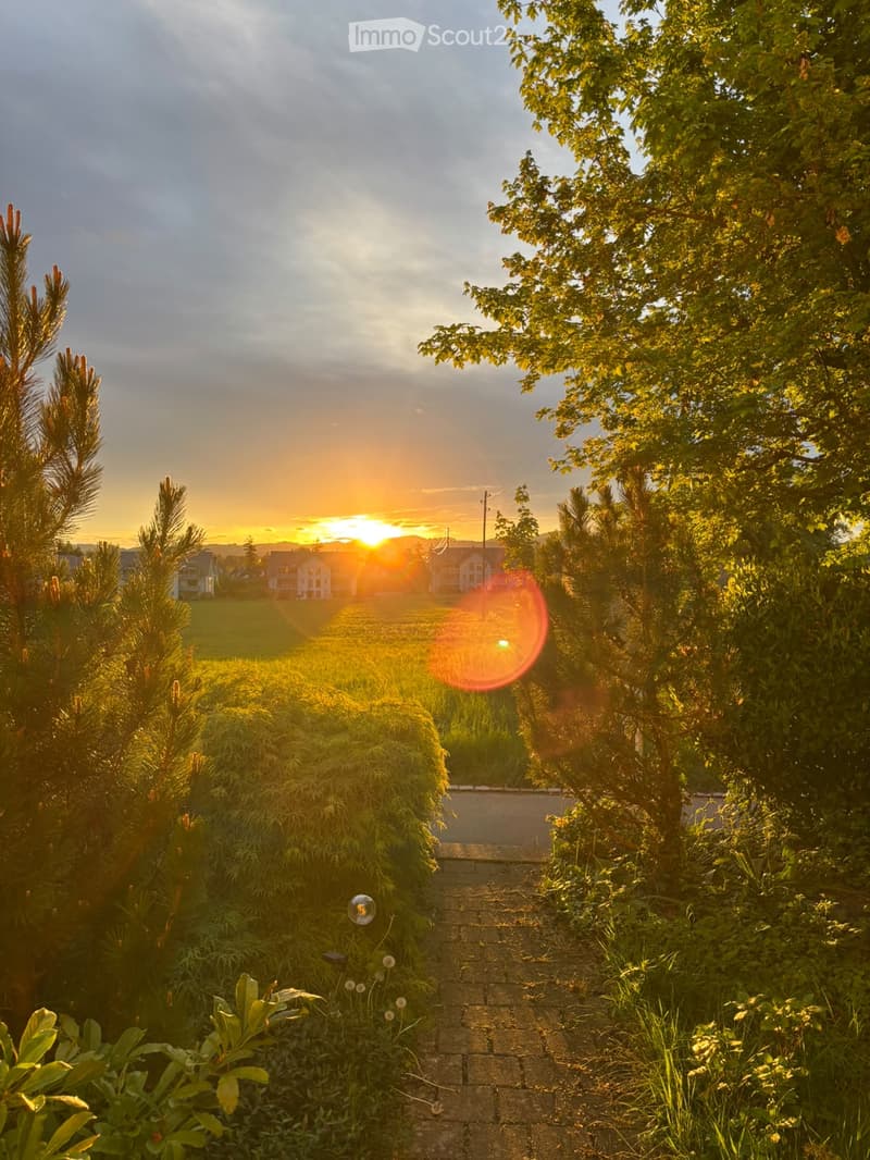 A garden path lined with trees and shrubs leads towards a sunset view of houses in the distance.