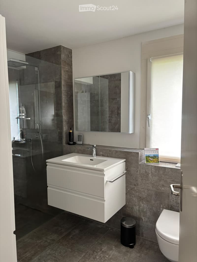 Modern bathroom with a white sink, mirror cabinet, toilet, and glass-enclosed shower area.