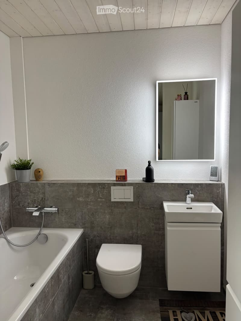 Modern bathroom with a bathtub, toilet, sink, mirror, and various accessories including a plant, bottle, calendar, and thermostat.