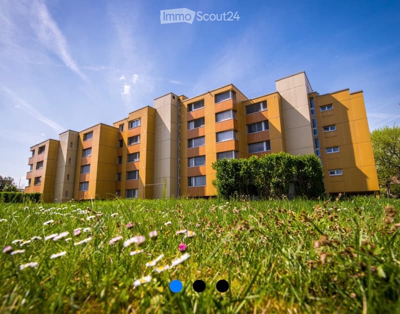 Multi-story yellow residential building with numerous windows and balconies, surrounded by green grass and small white flowers.
