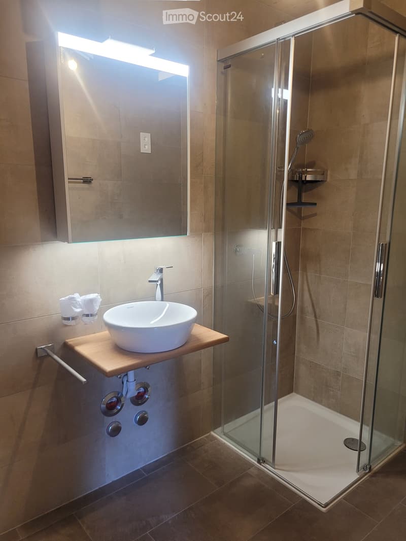 Modern bathroom with a white sink on a wooden vanity, a glass-enclosed shower, and a large mirror above the sink.