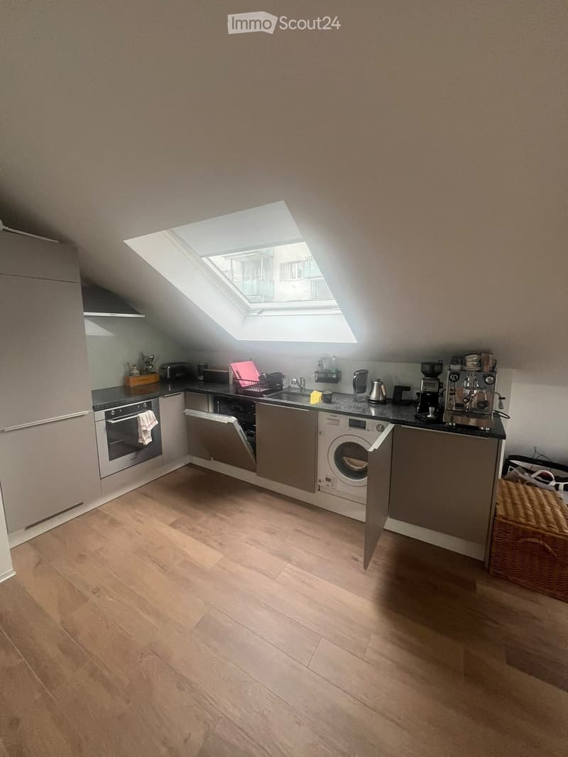 Modern kitchen with wooden flooring, white cabinets, stainless steel appliances including an oven, dishwasher, and washing machine, and a skylight window above the sink.