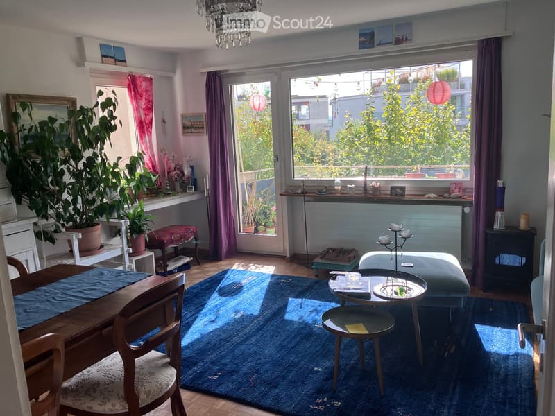 Bright living room with large windows, blue rug, wooden furniture, sofa, coffee table, and decorative plants.