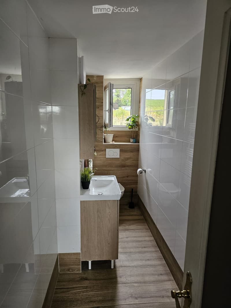 Modern bathroom with wooden vanity, white sink, toilet, large mirror, and small potted plants on the windowsill.