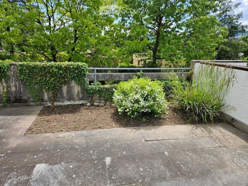 A small, well-maintained garden area with a stone pathway, a low wall covered in ivy, and a metal railing. There are small bushes and plants, and trees provide shade in the background.