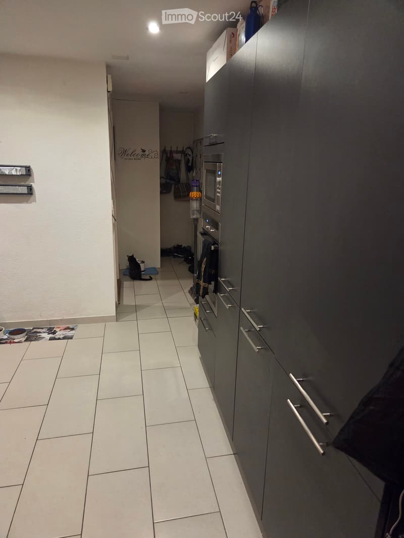 Modern kitchen with grey cabinets, microwave, oven, and a cat sitting on the floor near the entrance.
