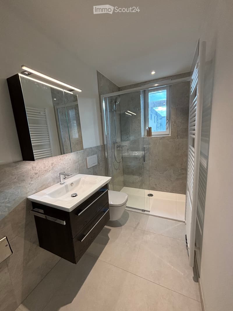 Modern bathroom with a large mirror, sink, toilet, and glass-enclosed shower. Features a window and built-in storage.