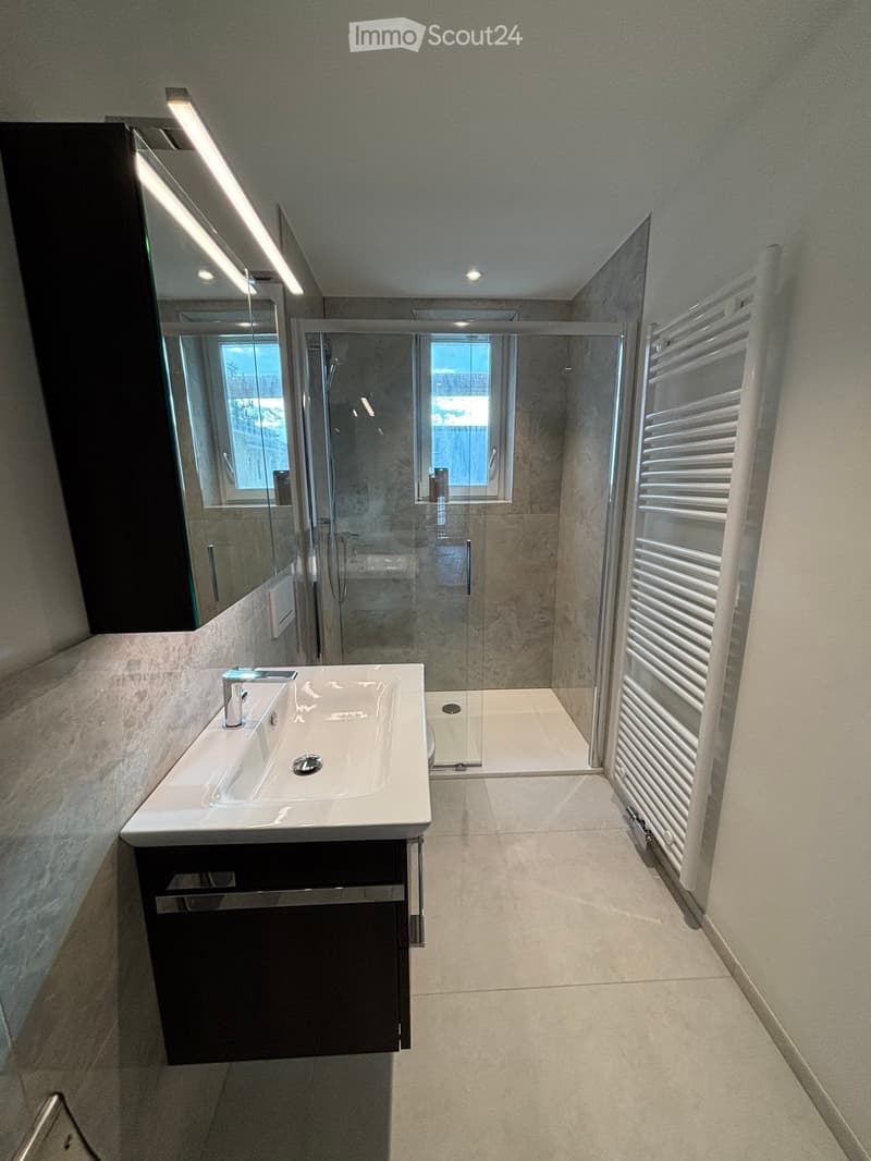 Modern bathroom with a white sink, chrome faucet, large mirror, glass-enclosed shower, and a white radiator.