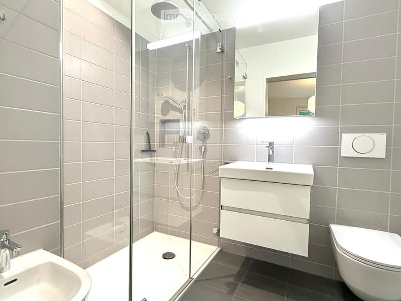 Modern bathroom with grey tiled walls, a glass-enclosed shower, a white sink, and a toilet.