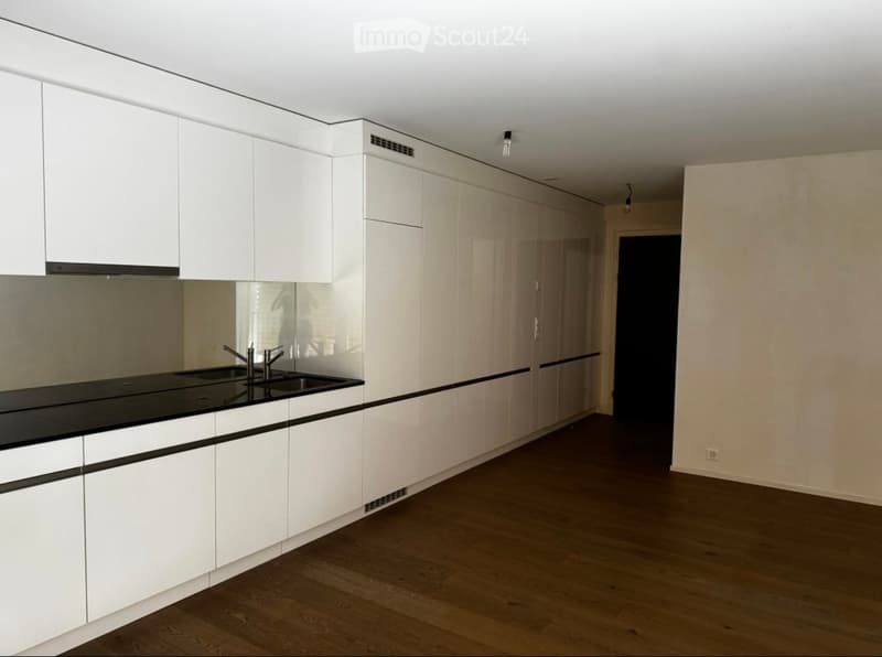 Modern kitchen with white cabinets, black countertop, and wooden flooring.