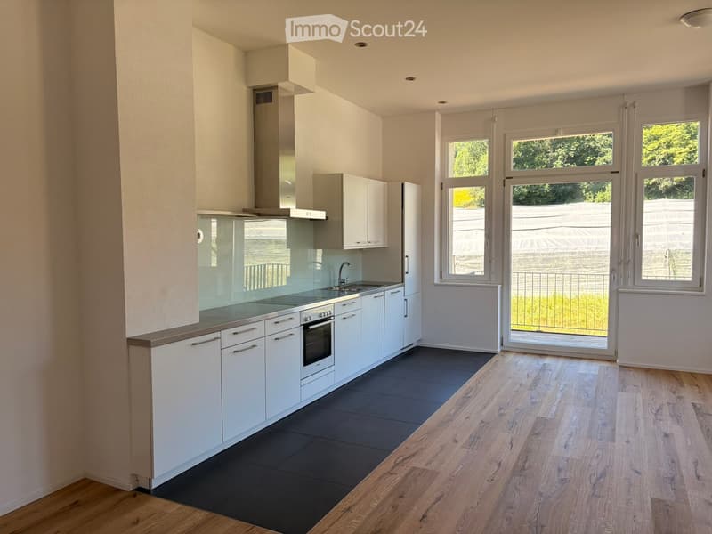 Modern kitchen with white cabinets, stainless steel appliances, dark tiled floor, and wooden flooring extending into the adjacent space.
