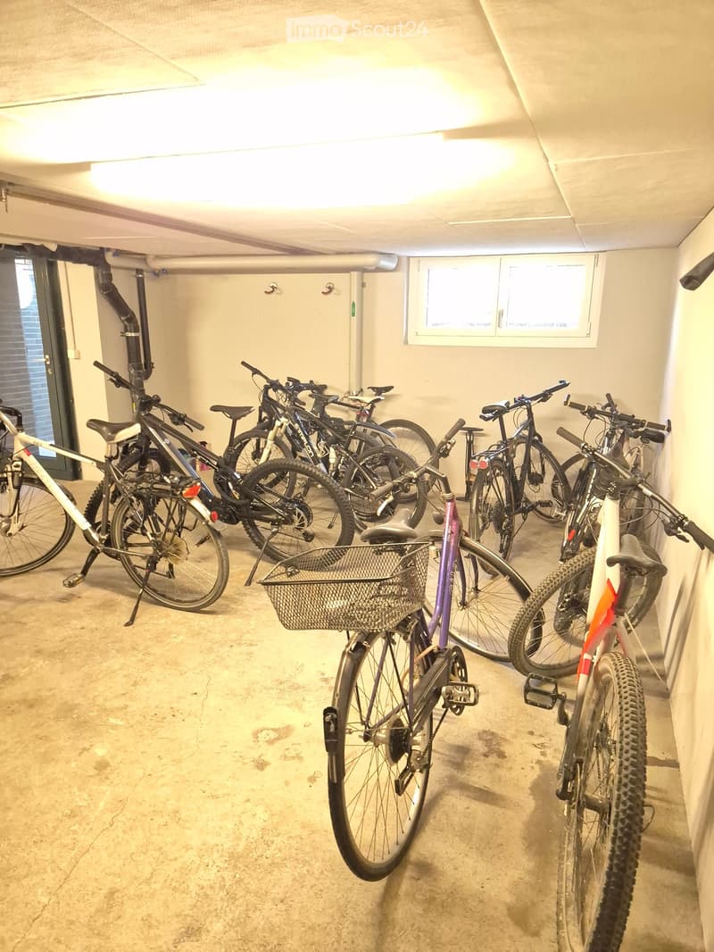 Underground parking area with multiple bicycles parked in rows, concrete floor, and a small window on the wall.