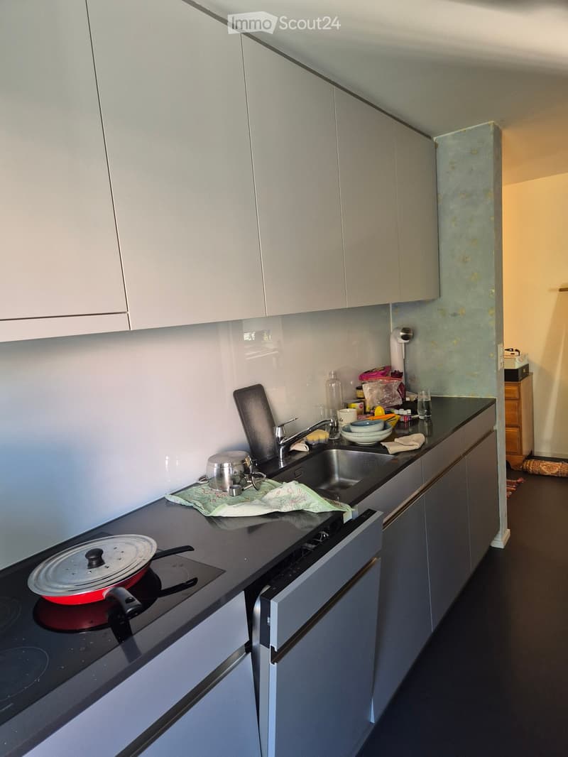 Modern kitchen with grey cabinets, black countertops, and stainless steel sink. Features a built-in stove with a red pot, various kitchen items on the counter, and a small towel.
