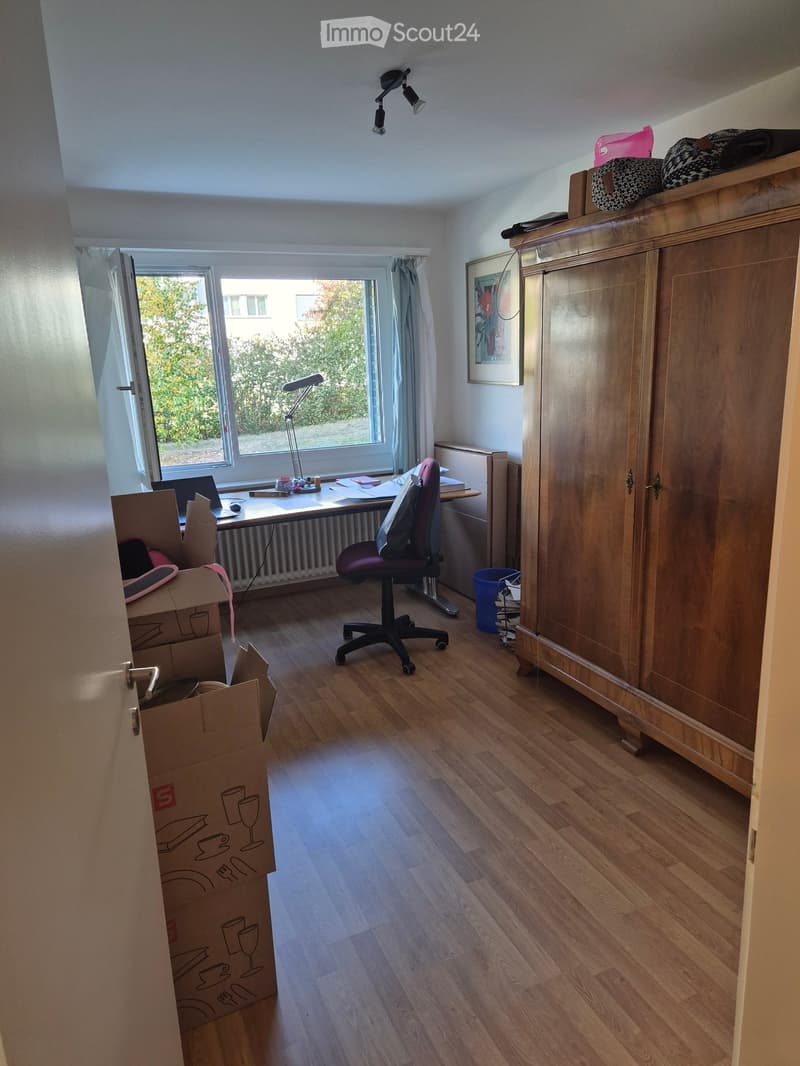 A furnished room with wooden flooring, a large window with a view of greenery, a desk with a laptop, a chair, a cabinet, and a lamp.