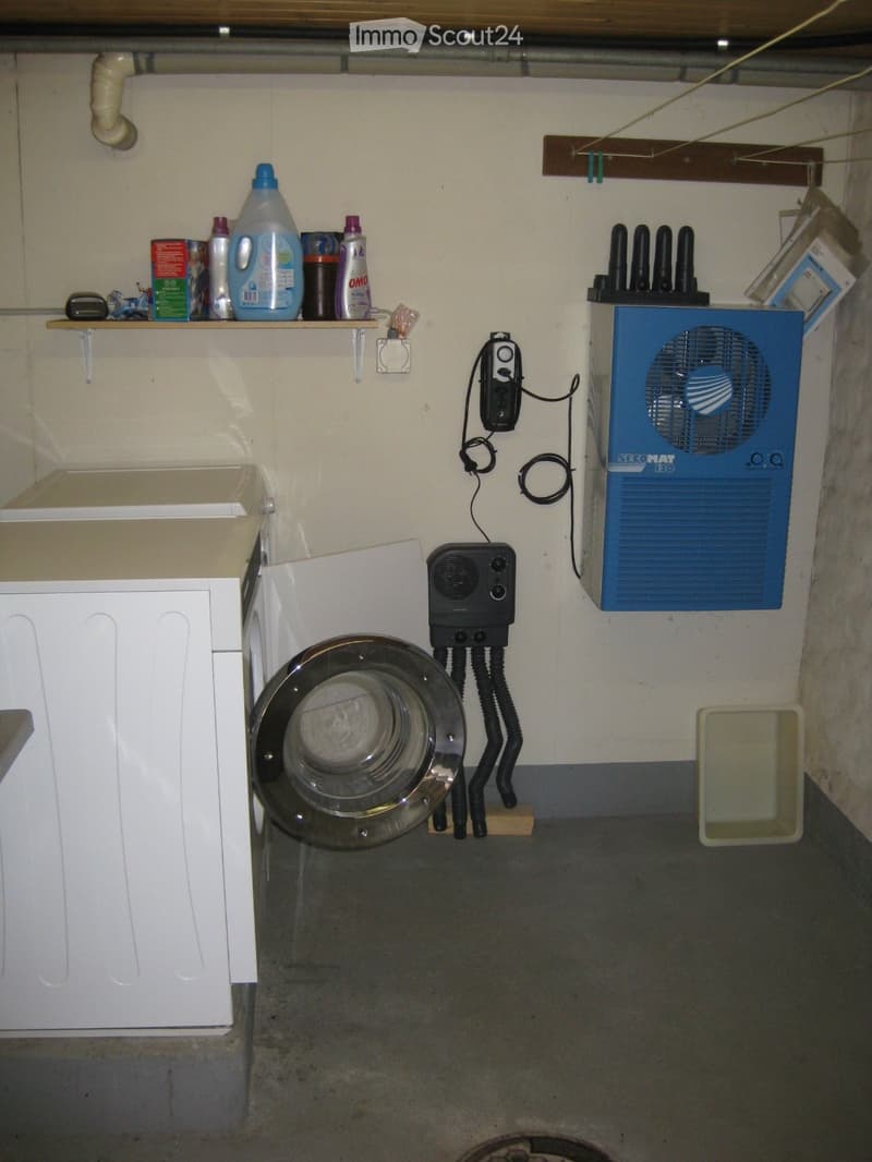 Utility room with a washing machine, fan, shelf with cleaning supplies, and a small sink.