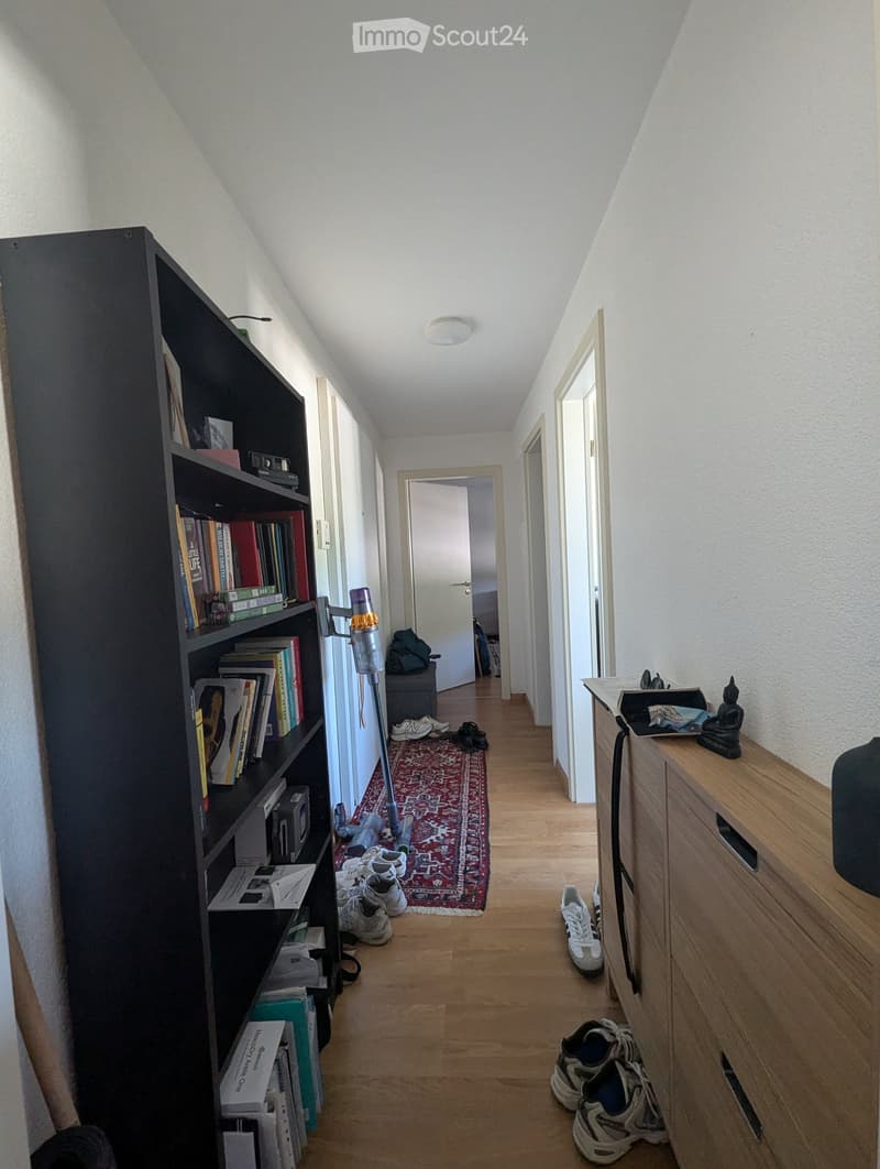 ApaHelle 2.5-Zimmer-Wohnungrtment in Zürich mit Balkon - Wiedikon, Kreis 3 (2)
