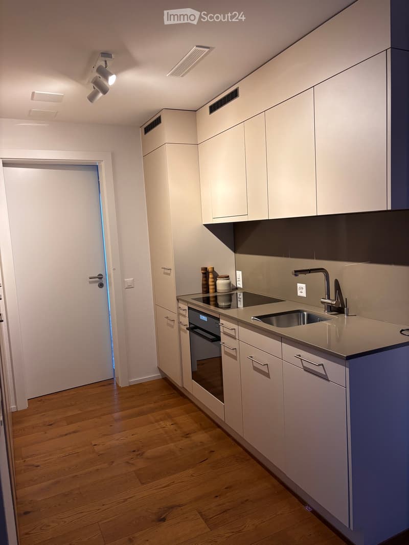 Modern kitchen with white cabinets, stainless steel sink, and oven. Wooden floor and track lighting.