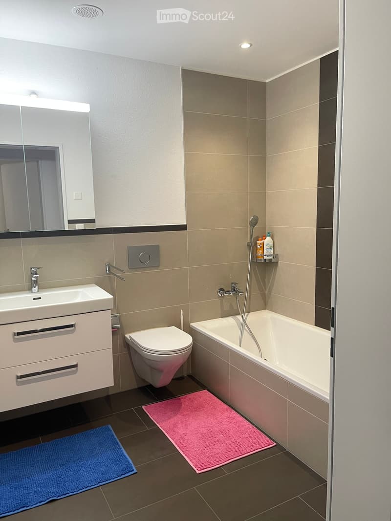 Modern bathroom with a white sink, toilet, bathtub, and a mirror above the sink. The walls are tiled in beige and grey, and the floor is dark grey tiles. There are two rugs in front of the sink and bathtub.
