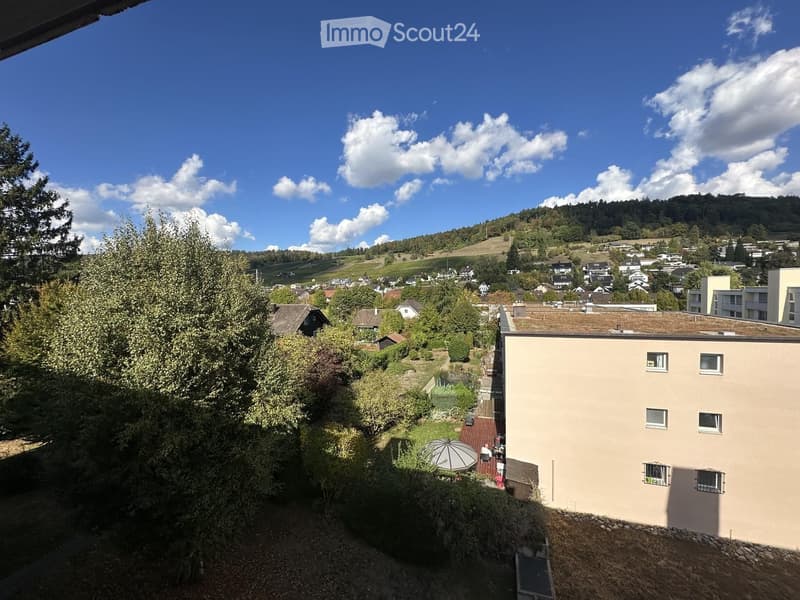 Balcony overlooking a scenic town with vineyards, houses, and a hill in the background under a partly cloudy sky.
