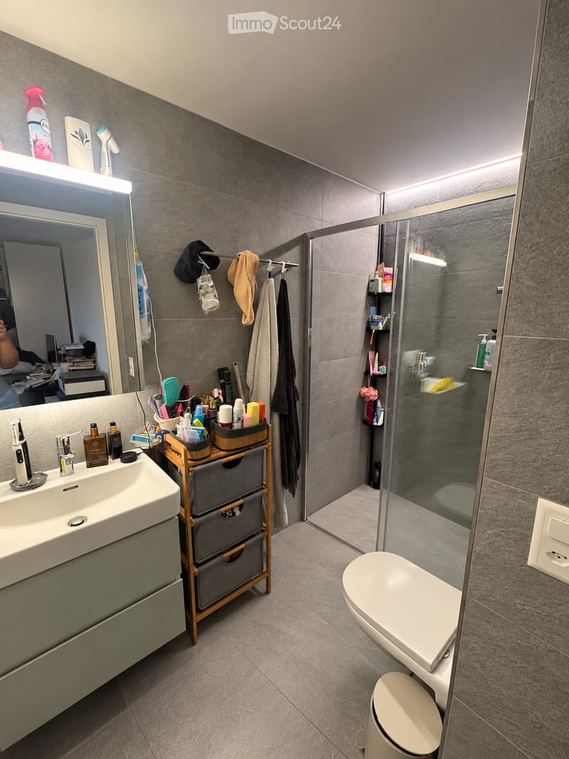 Modern bathroom with grey tiled walls and floor, featuring a white sink with a mirror, a toilet, a glass-enclosed shower, and a wooden storage unit with multiple drawers. Various toiletries and cosmetics are neatly arranged on the sink counter and in the
