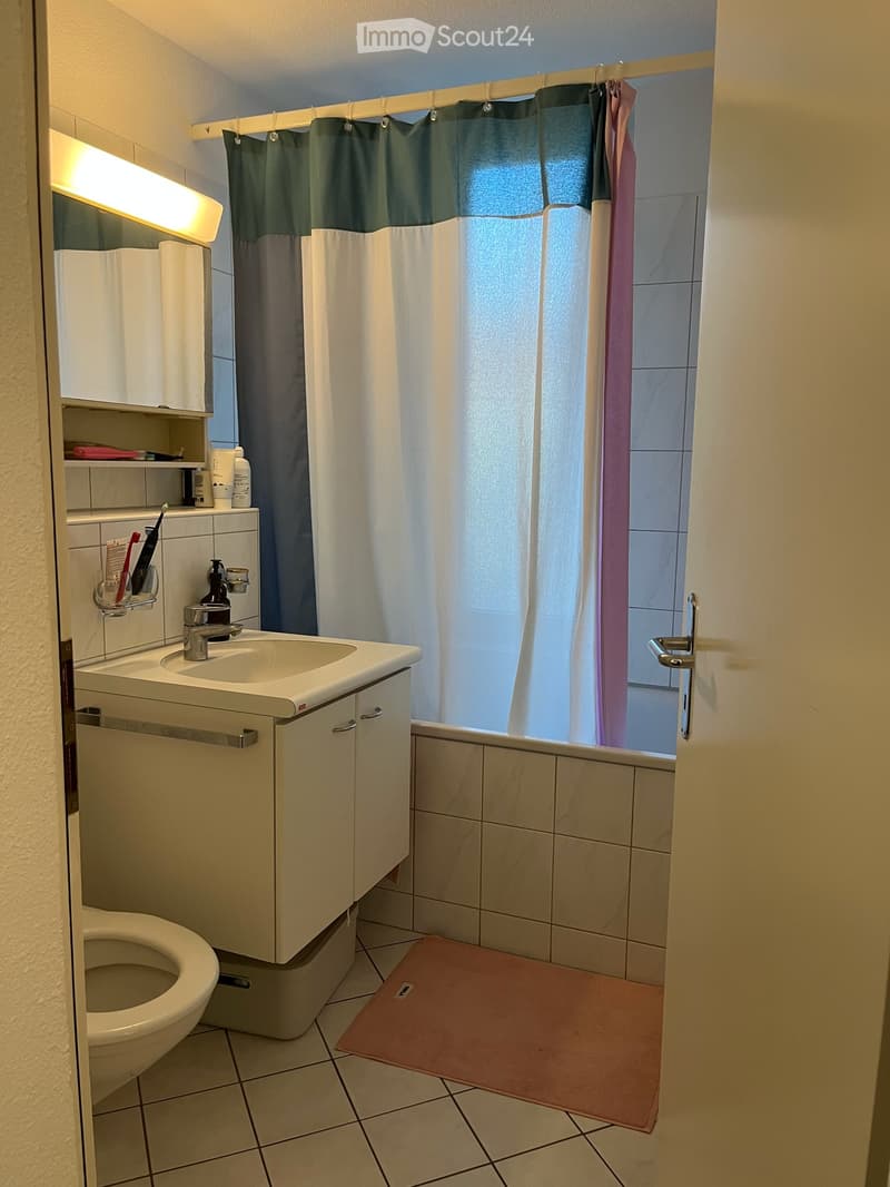 Möblierte 3-Zimmerwohnung in Wipkingen für 2.5 Monate zur Untermiete (3)