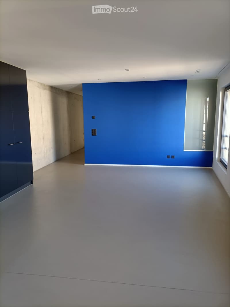 Empty room with smooth concrete walls, a blue accent wall, and large windows allowing natural light. The floor is a light grey concrete surface.