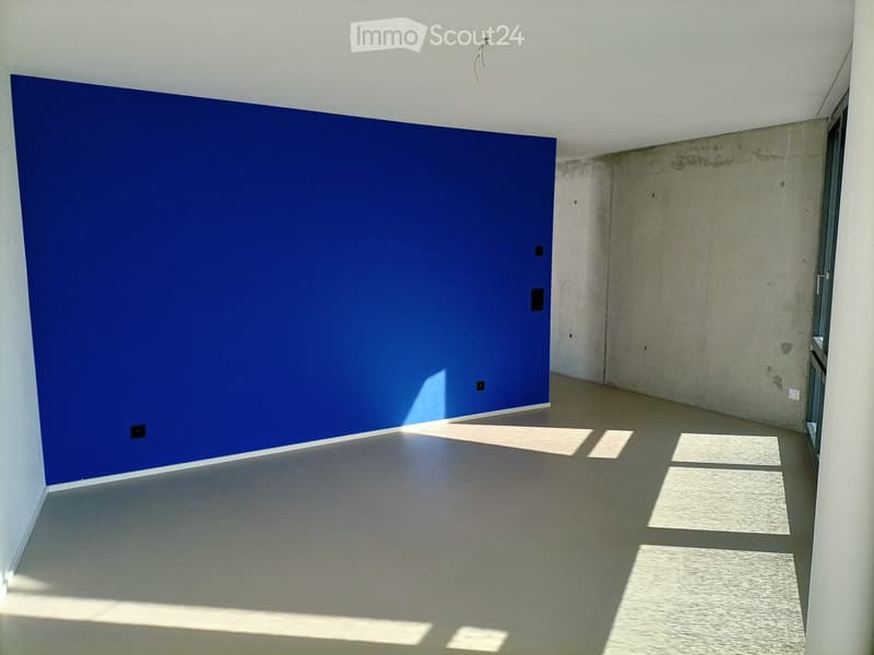 Empty room with a blue accent wall, concrete walls, and a smooth concrete floor. No furniture or equipment is present.