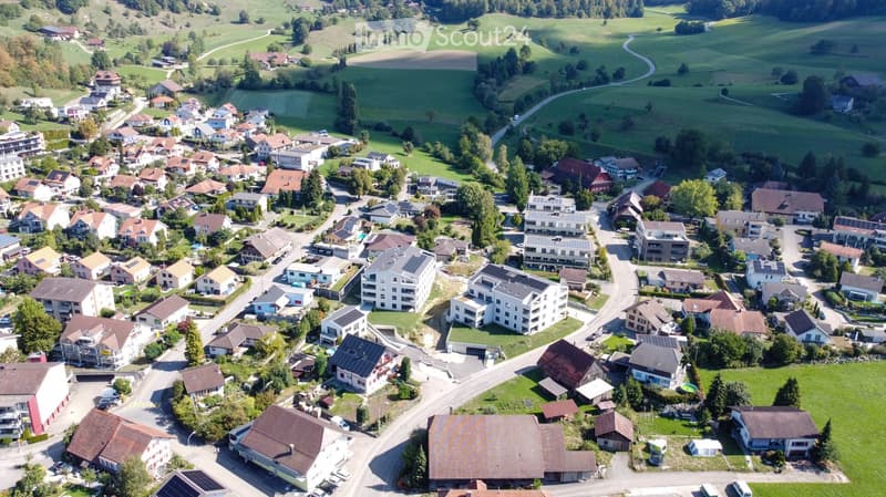 Aerial view of a residential area with numerous houses, green fields, and trees. The houses have varied architectural styles and are surrounded by well-maintained lawns and gardens.