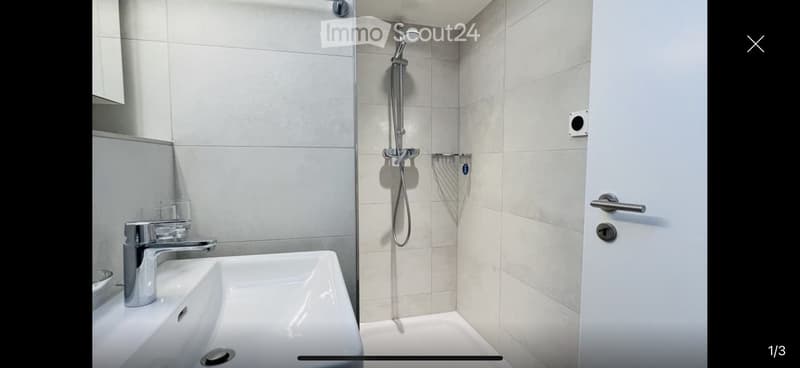 Modern bathroom with a white sink, chrome faucet, and a shower area with a handheld showerhead. The walls are tiled in light gray, and the door is white with a silver handle.