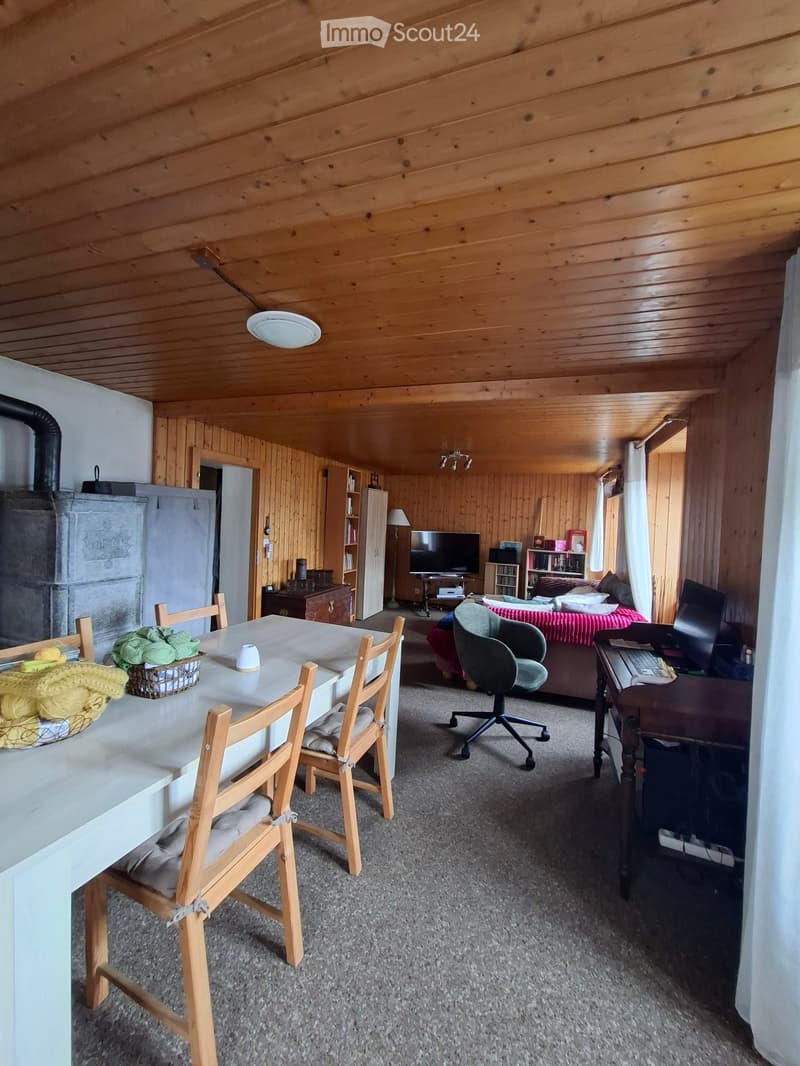 A cozy, wooden-paneled room with a dining area, living area, and workspace. Features include a white dining table with wooden chairs, a sofa with a colorful blanket, a television on a stand, an office chair, a desk with a laptop, and a fireplace.