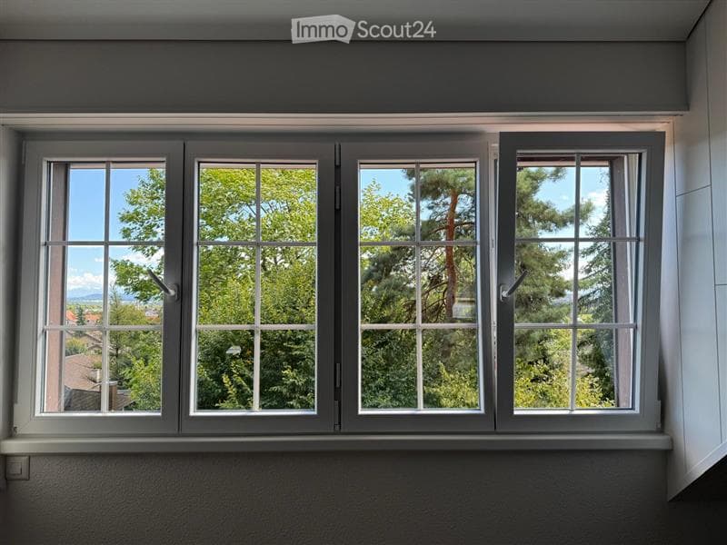 window with view of outdoor area