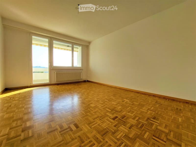 Empty room with wooden parquet flooring, white walls, large windows, and a radiator under one window.