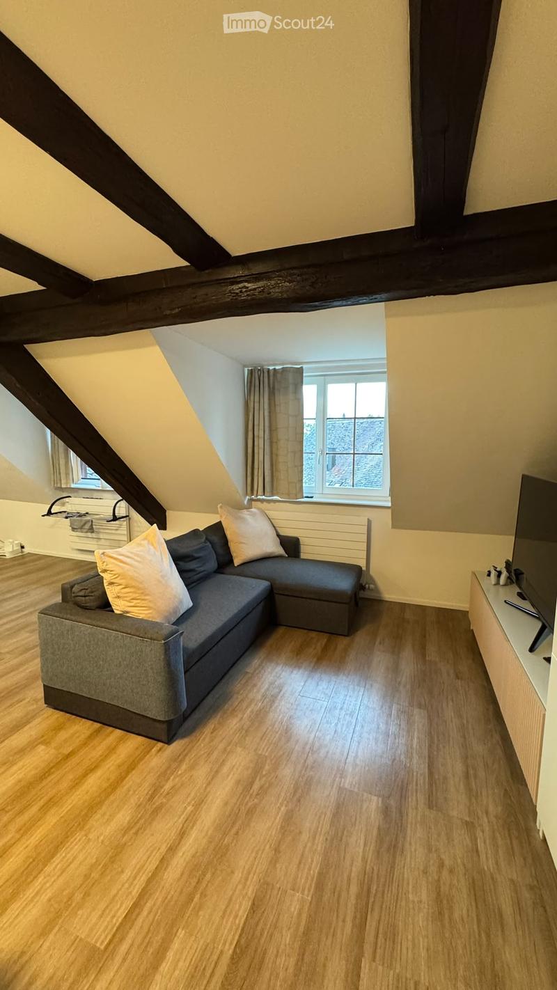Cozy attic room with wooden flooring, grey sectional sofa, television, and large window with curtains.