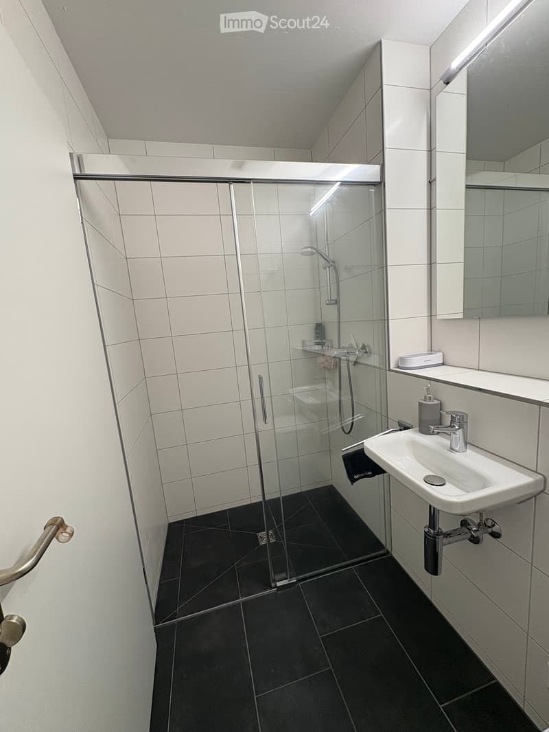 Modern bathroom with white tiles, black floor, glass-enclosed shower, sink with modern faucet, and a mirror above the sink.