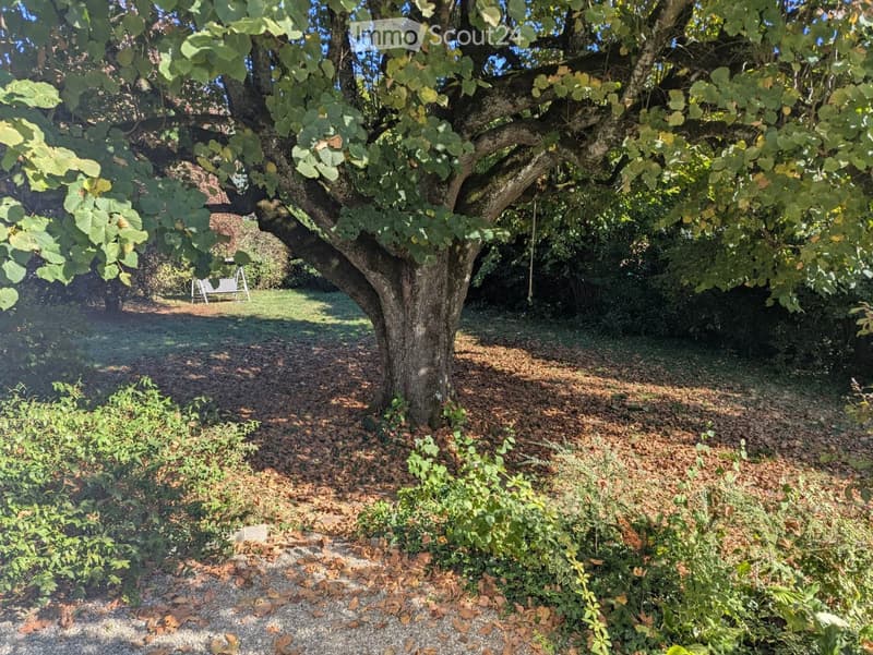 A serene garden area with a large tree, a swing, and a gravel path surrounded by greenery and shrubs.