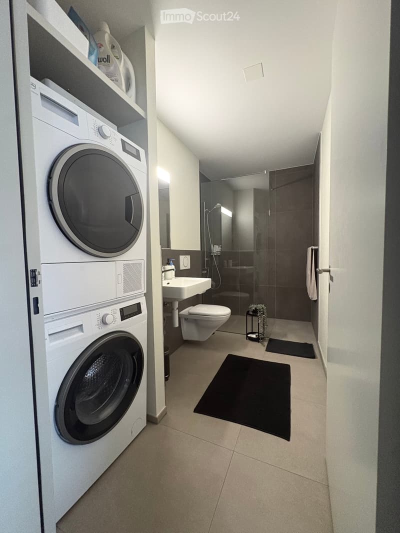 Modern bathroom with a washing machine and dryer unit, a sink, toilet, and a glass-enclosed shower area.