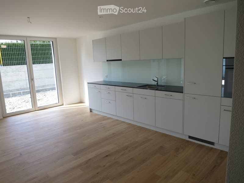 Modern kitchen with light grey cabinets, a black countertop, and a sleek sink. The space features light wooden flooring and large glass doors leading outside.