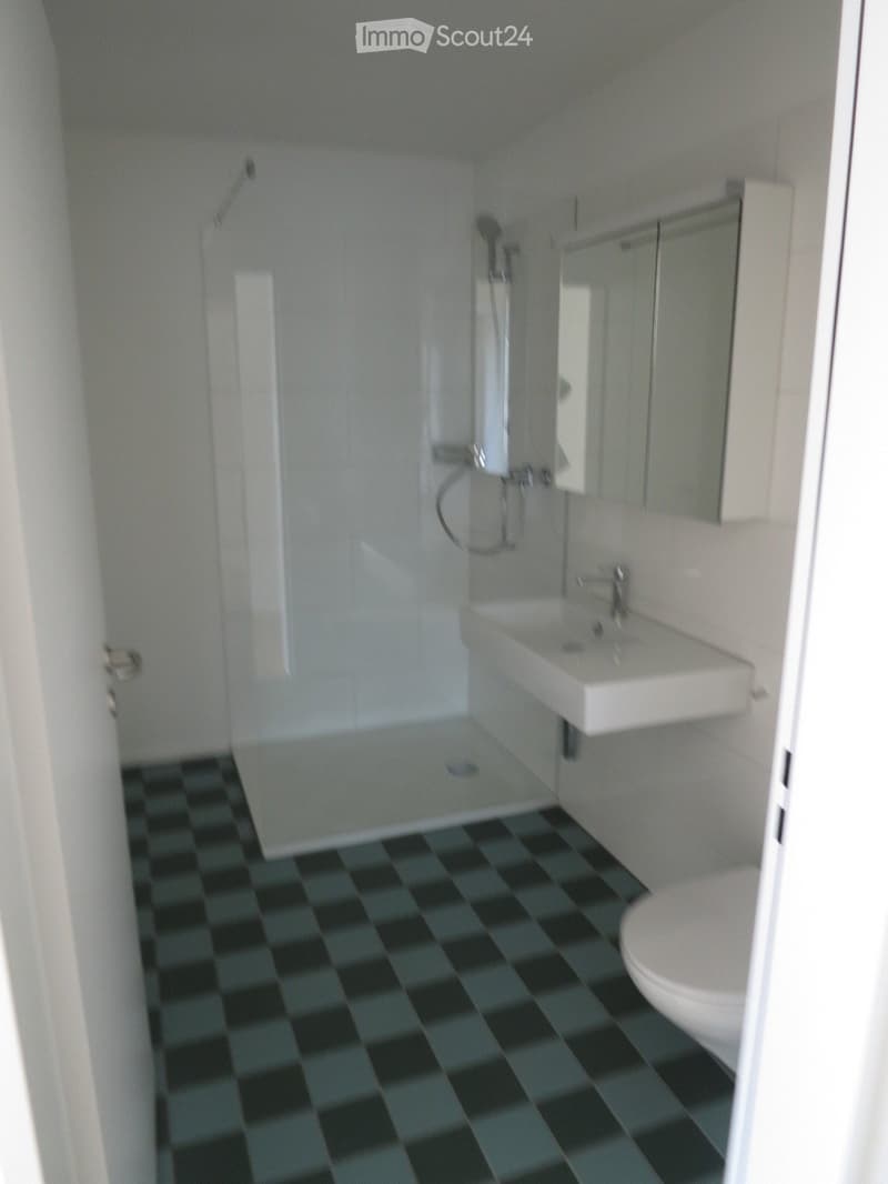Modern bathroom with a black and white checkered floor, a white toilet, a sink with a mirror, and a glass-enclosed shower area.
