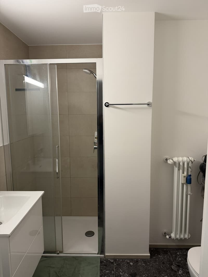 Modern bathroom with a bathtub, glass-enclosed shower, radiator, and towel rack. The shower has a modern design with a glass door and a handheld showerhead.