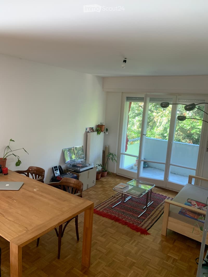 Bright living room with wooden flooring, large sliding glass doors leading to a balcony, a wooden table with chairs, a laptop, a sofa, a coffee table, and several potted plants.
