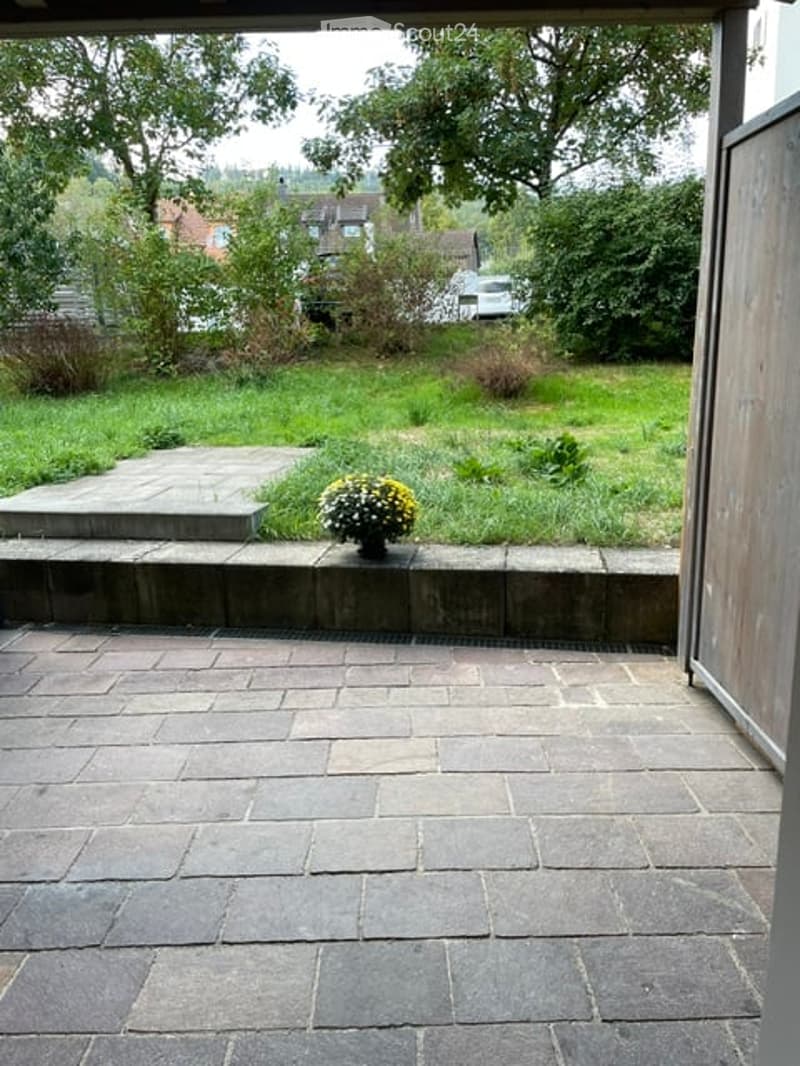 Outdoor patio with stone tiles, low concrete wall, potted plant, and grassy area with trees and parked cars in the background.