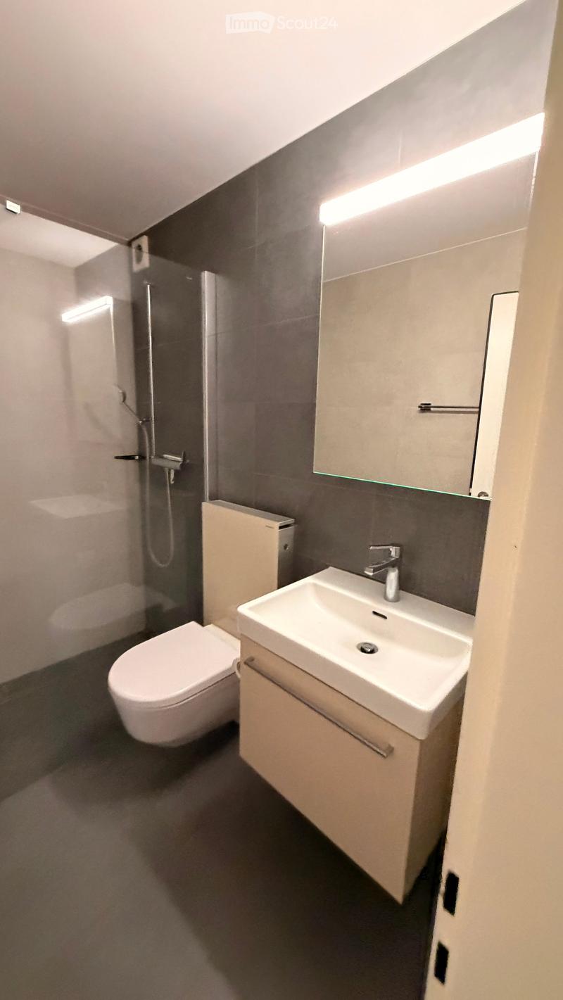 Modern bathroom with a white toilet, sink, and shower area. Features a built-in cabinet under the sink and sleek, dark grey tiles on the walls.