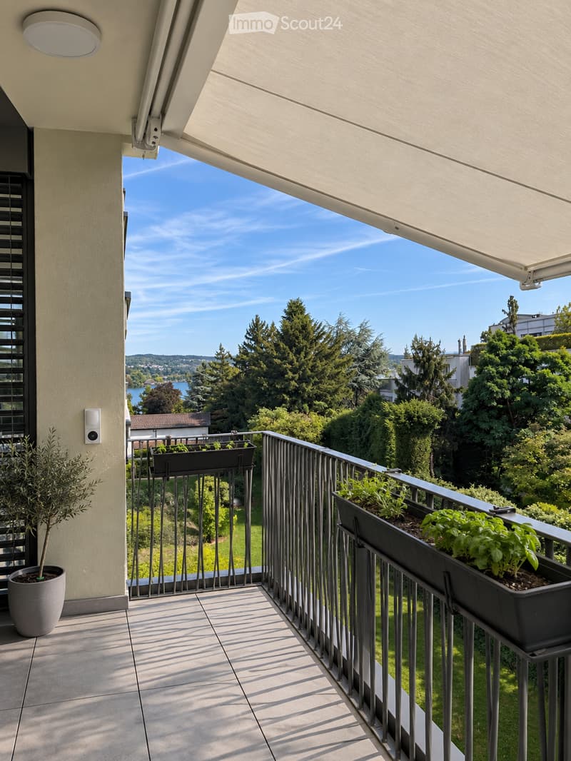 Balcony with modern railing, potted plants, and scenic view of trees, lake, and distant hills.