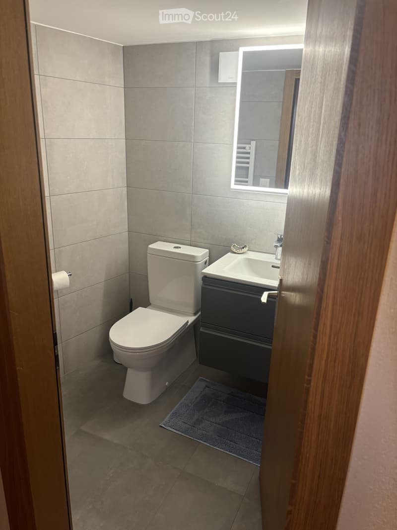 Modern bathroom with grey tiled walls, a white toilet, a sink with a dark cabinet, a mirror, and a small blue rug on the floor.