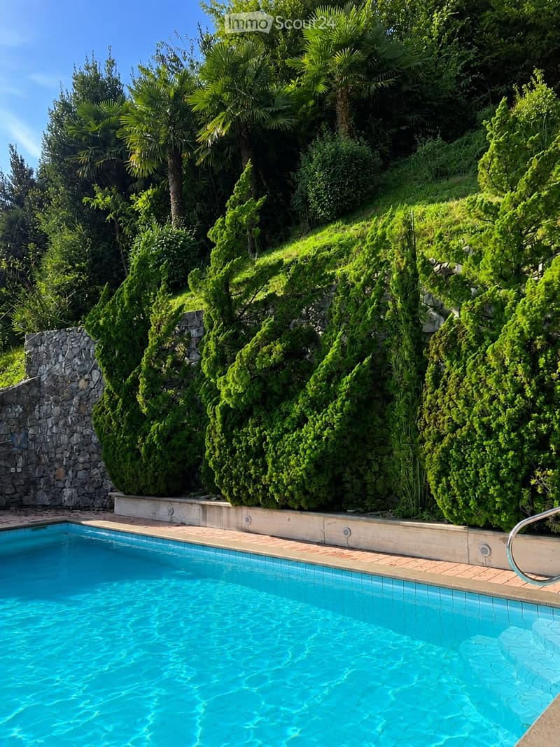 A swimming pool surrounded by lush green trees and shrubs, with a stone wall and tiled deck.