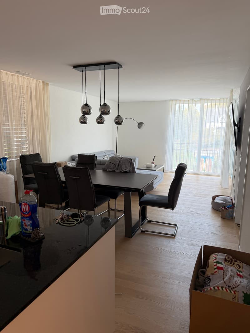 Open-plan living and dining area with modern furniture, including a sofa, dining table, chairs, and pendant lights. The space features large windows with curtains and a pet bed in the corner.