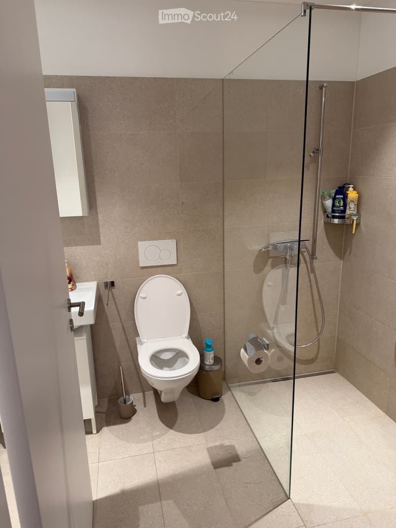 Modern bathroom with a toilet, sink, glass-enclosed shower, and various toiletries.