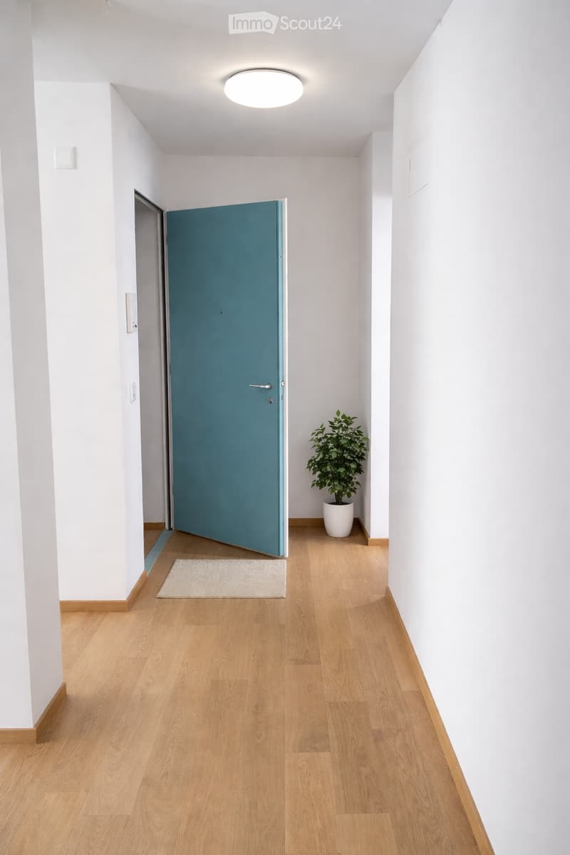 Empty hallway, white walls, wooden floor, circular ceiling lamp, blue door.