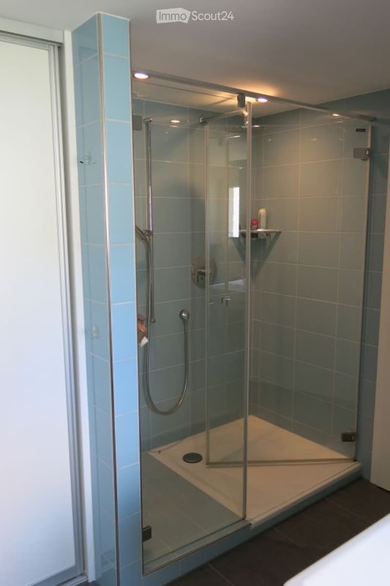 Modern bathroom with a glass-enclosed shower stall featuring a handheld showerhead and a built-in shelf. The shower stall has a sleek, contemporary design with a glass enclosure and a tiled interior.