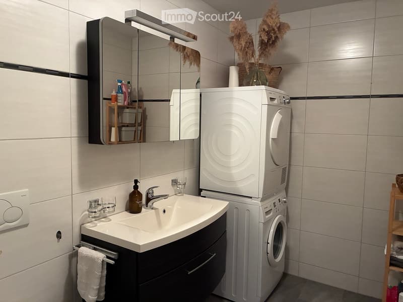 Modern bathroom with a white sink, mirror cabinet, washing machine, and decorative vase on the counter.